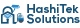 HashiTek Solutions Logo